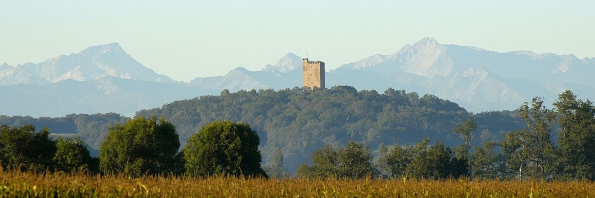 Tout montaner Pyrenees